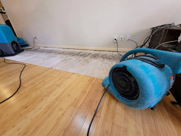 Professional Sewage Cleanup technician working in Ookala, HI